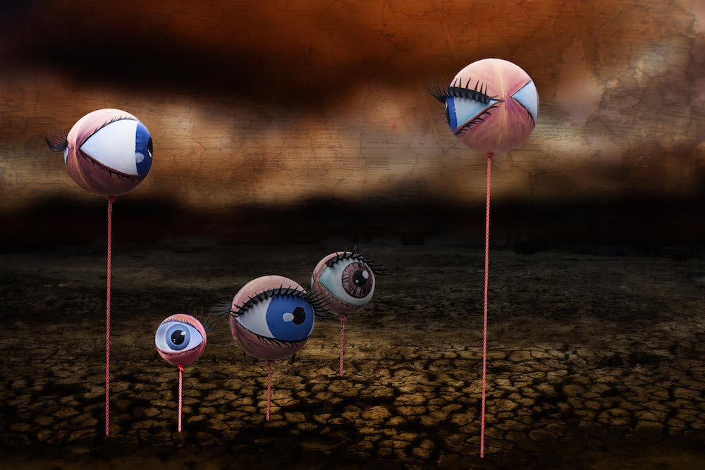 Eyes of the world  - Xavier Van Suetendael