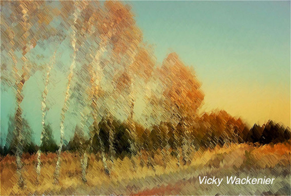 Berkenbomen - Vicky Wackenier