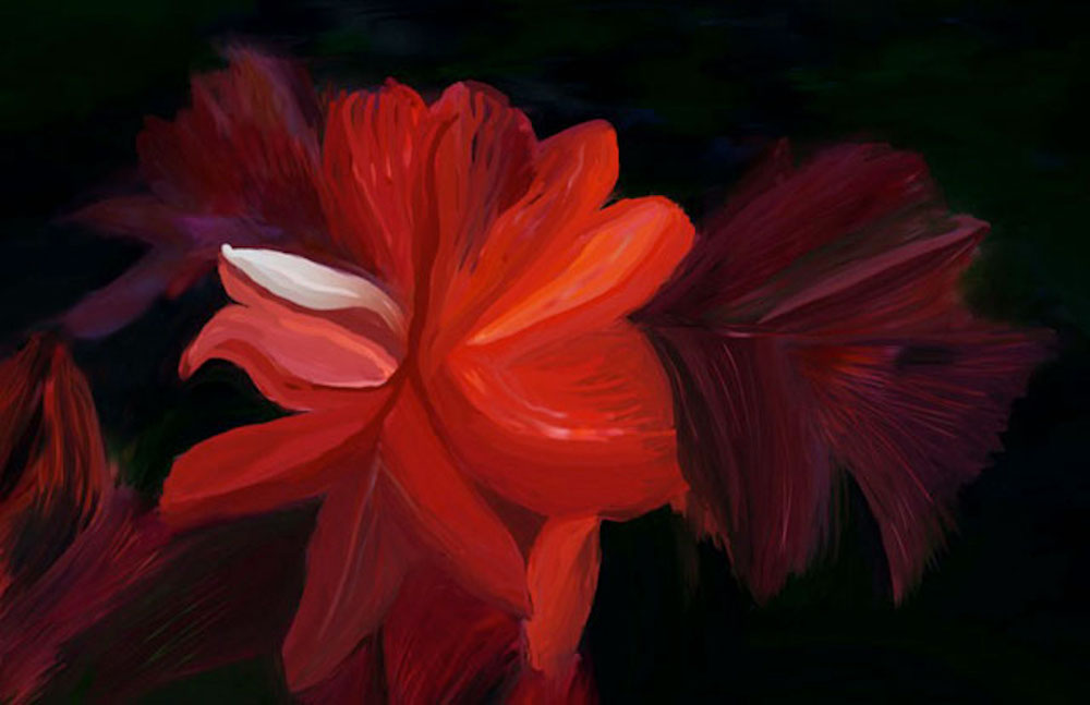 Rode bloem - Vicky Wackenier